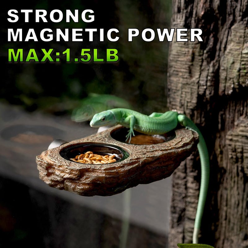 Oiibo Magnetic Reptile Feeder Ledge, Crested Gecko Feeding Ledge with 6PCS Food Cups Reptile Food Dish Water Bowl Tank Accessories for Bearded Dragon Chameleon Lizard Snake - Image 3